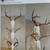 Englehart Outdoor Taxidermy Service's 3 thumbnail