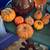 Fall decor 15 thumbnail