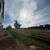 *2 Months Free! Sunlit Open Spaces & Top Amenities Green Valley Ranch 19 thumbnail