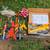 estes rockets engins launch pad and more 1 thumbnail