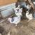 Pullets for sale 1 thumbnail