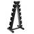6-Pair Vertical Dumbbell Rack (NEW) Stand for Dumbbells / Weights 1 thumbnail