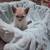 Kittens for $30 each 6 thumbnail