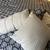 7 piece beautiful King size comforter set 5 thumbnail