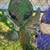 Miscellaneous Items 7 thumbnail