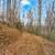 24+ Ridge-top Acreage #875 20 thumbnail