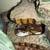 Pied ball python 1 thumbnail