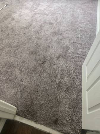 CARPET CLEANING. TILE CLEANING ORLANDO. ✨️ AND SUROUNDING AREAS. 🛋️🏠 1