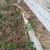 Steel Loading Ramp 1 thumbnail