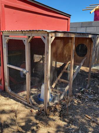 Chicken coop 1