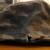 US POLO ASSN Heritage Cotton Military Camo Camouflage Cap Hat M Medium L Large 4 thumbnail
