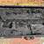 Fender Telecaster Thinline 5 thumbnail