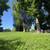 AMAZING APARTMETNS IN SERENE PARK LIKE SETTING 22 thumbnail