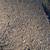 2 yr old rotted horse manure. 2 thumbnail
