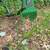 John Deere 345 tractor cab 4 thumbnail