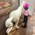 Custom Breyer Rider Doll & Model Horse Playset, Handsewn Doll Clothes, Handmade  24 thumbnail