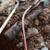 Sylmar Plumbing — Licensed, Local, & Built on Trust 11 thumbnail