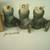 Fire Pump Accessories 11 thumbnail