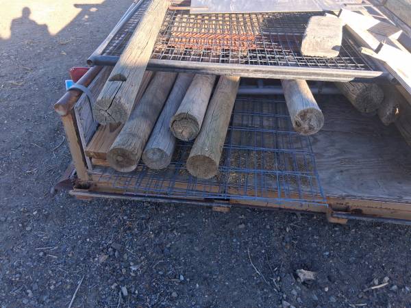 Pressure treated post 1