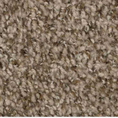 Trafficmaster Carpet Hartsfield Beige 12 Ft. X  21 Ft. 1