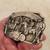 Law Enforcement 1985 Sheriff Commemorative Arroyo Grand Belt Buckle Co 2 thumbnail