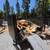 Backyard Got Trashed? Yard Waste Removal in Los Angeles 1 thumbnail