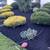 🌿🌴🌾LAWN  SERVICE  & LANDSCAPING🌴🌿🌾 6 thumbnail