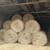 4x5 round bales of hay 6 thumbnail