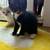 2 month old kittens 3 thumbnail