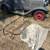 Ford roadster, 1930 original with B engine 1 thumbnail