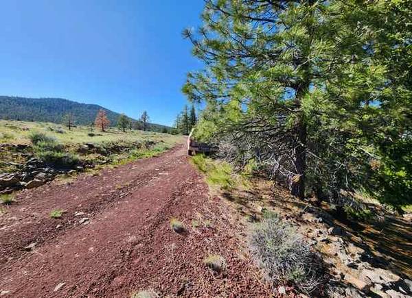 $125 /m..0.9 Acres of Mountain Paradise for Retirees! (Alturas, CA)63870757188995121