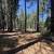 6.8 Usable Acres with a Cleared Home Site and Solar 5 thumbnail