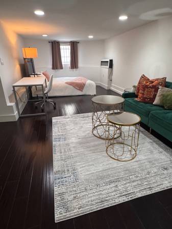Charming Furnished Junior one-bedroom apartment in aVictorian Building