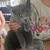 Kittens - pending 2 thumbnail