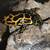 Dart frogs 1 thumbnail