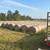 Grass hay mix 1 thumbnail