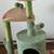 cat scratch post 2 thumbnail