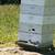 6 bee hives 1 thumbnail