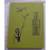 Everett MA 1970 High School Yearbook Pope John XXIII Roman Catholic 1 thumbnail