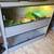 Free female ball python when you buy enclosures 2 thumbnail