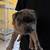 Frenchie Boston Terrier 4 thumbnail