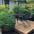 2 bed 1.25 baths, North Tacoma 9 thumbnail