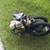 Lectric E-bike 10 thumbnail
