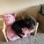 Rehoming Kittens 4 thumbnail