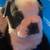 Boston Terrier Puppies Rehome 3 thumbnail