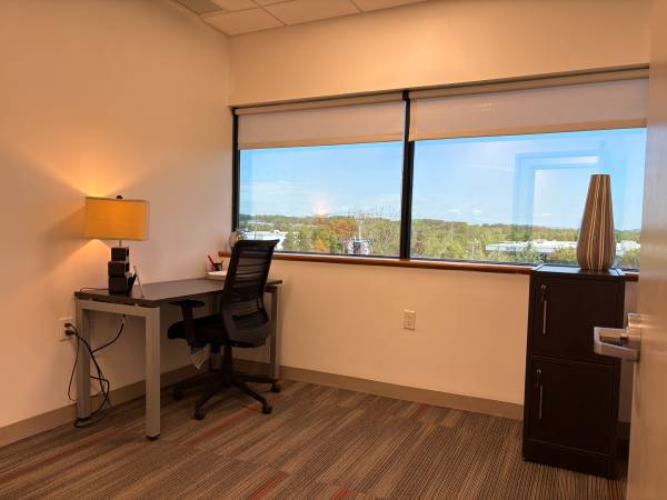 Affordable Private Office w/ 24/7 Access + Fast Wi-Fi 1
