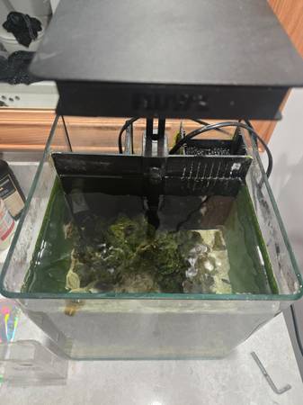 Acuario nano de escritorio