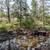 Move-In Ready Log Home with Irrigated Acreage 16 thumbnail