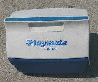 PLAYMATE IGLOO COOLER 1