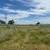 Shredding, Disking, Hay baling 12 thumbnail